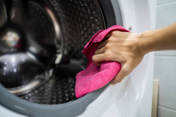  Reidsville, NC Mold Removal Pros