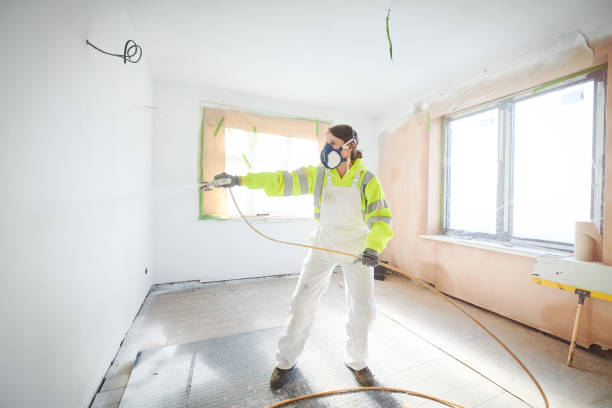 Best Post-Construction Mold Inspection  in Reidsville, NC