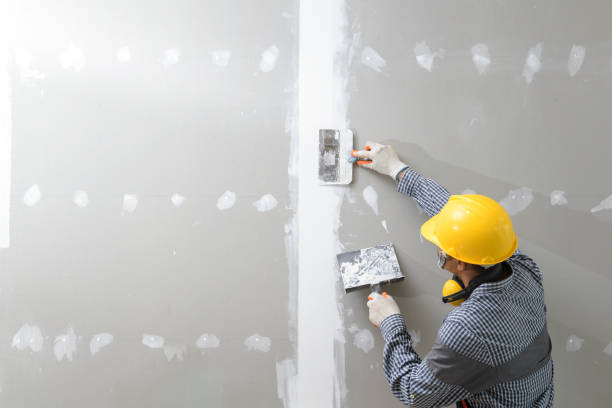 Best Mold Odor Removal Services  in Reidsville, NC