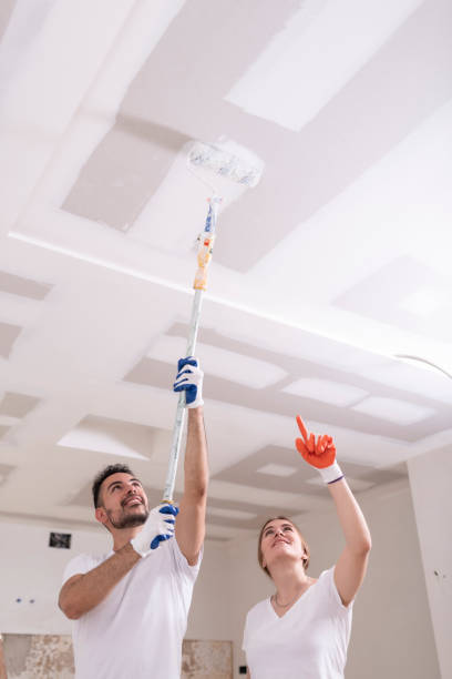 Best Commercial Mold Inspection  in Reidsville, NC