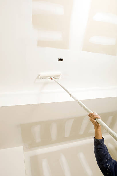 Reidsville, NC Mold Removal Company