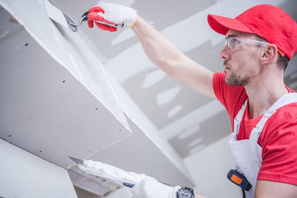 Best Forensic Mold Investigation  in Reidsville, NC